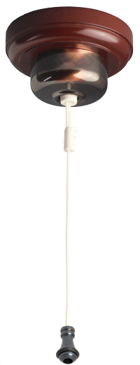 CLICK FOR A LARGER IMAGE OF CEILING SWITCH