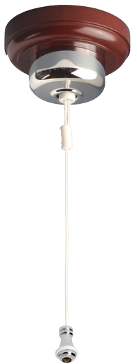CLICK FOR A LARGER IMAGE OF CEILING SWITCH