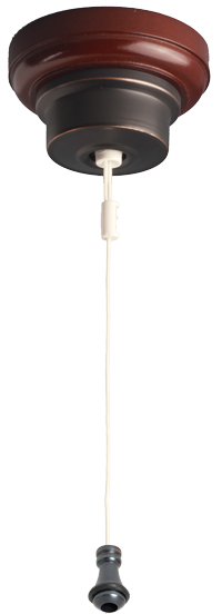 CLICK FOR A LARGER IMAGE OF CEILING SWITCH