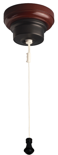 CLICK FOR A LARGER IMAGE OF CEILING SWITCH