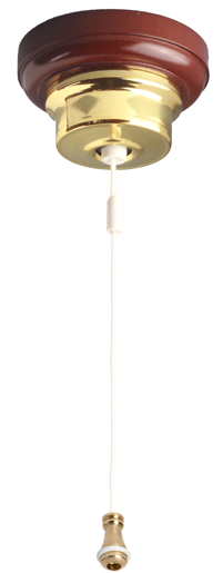 CLICK FOR A LARGER IMAGE OF CEILING SWITCH