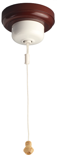 CLICK FOR A LARGER IMAGE OF CEILING SWITCH